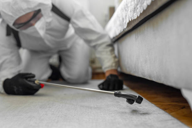 Professional Bed Bug Control technician working in Rancho Alegre, TX